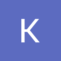 Kaede Kida, Google review for Skylark Migration Specialists