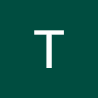 Thao Nguyen, Google review for Skylark Migration Specialists