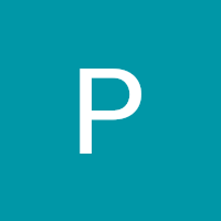 Petra, Google review for Skylark Migration Specialists