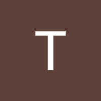 Tina Nguyen, Google review for Skylark Migration Specialists